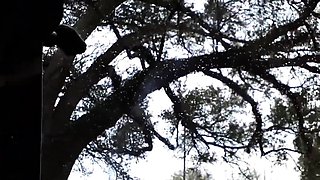 Bear Jerking Off Roadside After Class