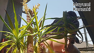 I Pee in the Potted Plant Again