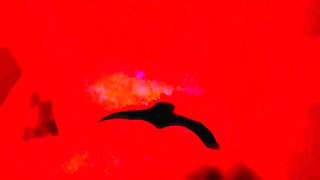 Hhf Threesome with a Subscriber Part 2