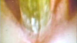 The Lesbian Kink Train