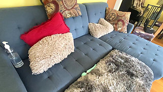 Well I Like to Fuck Hard and He Likes to Fuck Harder.. Rate It 1-10