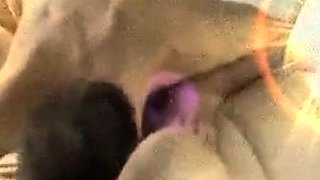 Kinky Granny Kati Neni Blows a Bisexual European Couple
