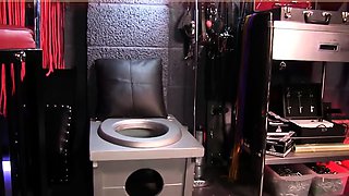 brainwashed toilet slave